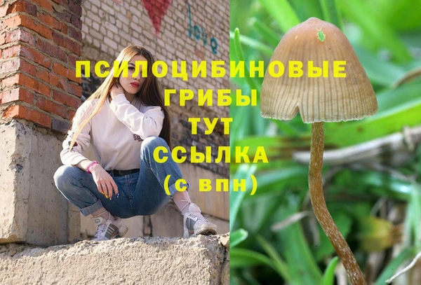 Альфа ПВП Абаза
