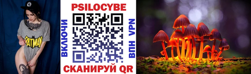 Галлюциногенные грибы мухоморы  закладки  это какой сайт  Кирсанов 